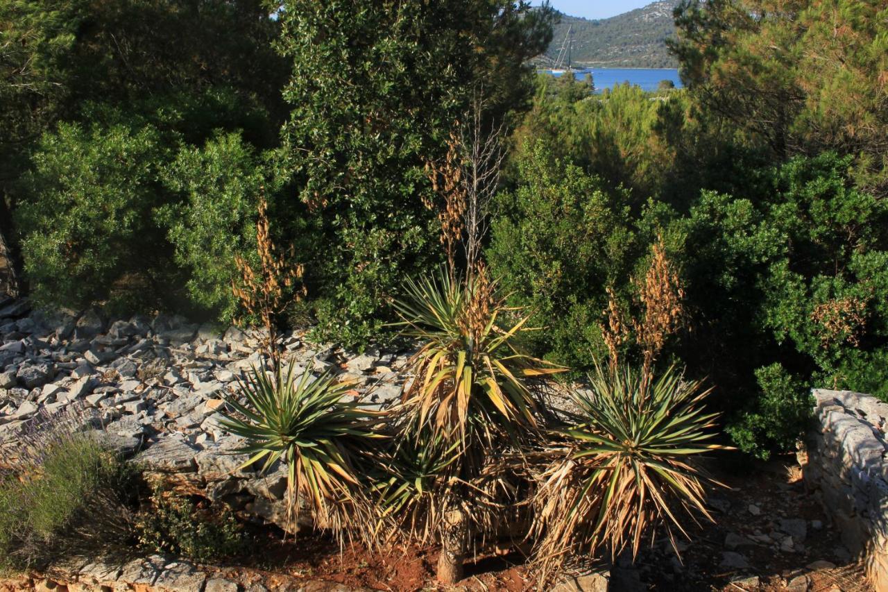 Secluded Fisherman'S Cottage Cove Jaz - Telascica, Dugi Otok - 8143 Sali Extérieur photo